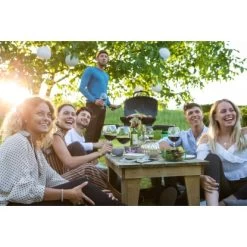 Napoleon Gasgrill TravelQ TQ285 Mit 2 Brennern & Klappbarem Wagen Schwarz -Günstiges Napoleon Geschäft 1 1104 TQ285X 03 Lifestyle