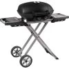 Napoleon Gasgrill TravelQ TQ285 Mit 2 Brennern & Klappbarem Wagen Schwarz