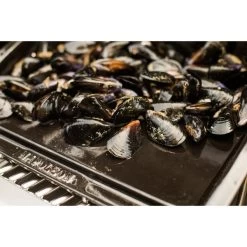 Napoleon Gusseisen-Plancha, Grillplatte -Günstiges Napoleon Geschäft Napoleon Gusseisen Plancha Grillplatte@@9ggzzn0s 6