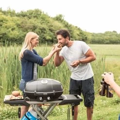 Napoleon Gasgrill TravelQ 285X Mit Klappbaren Wagen Schwarz -Günstiges Napoleon Geschäft napoleon travelq 285x gasgrill mit klapbaren wagen schwarz 972865 3